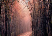 jiuyou app-包含罗马关键时刻刷新队史纪录，志在葡超名次提升，更衣室稳定，团队化学反应显著的词条-jiuyou app